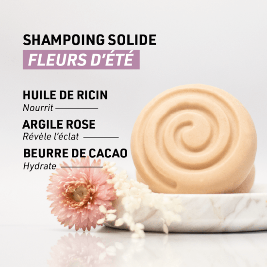 Shampoing solide