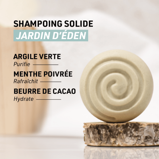 Shampoing solide
