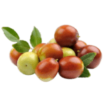 Huile de Jojoba