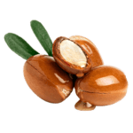 huile-argan-visage-cheveux