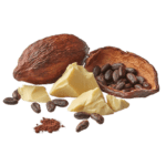 cacao