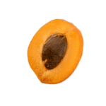 Design sans titre (4)