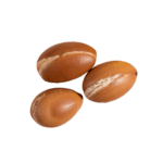 Design sans titre (6)