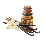 Notes de fond_brume Sunny Paradise