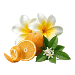 Notes de tête_brume Sunny Paradise