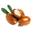 huile-argan-visage-cheveux