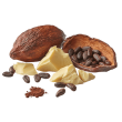 cacao