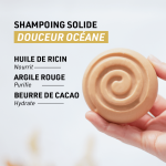 Shampoing solide