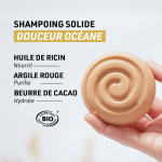 Shampoing solide