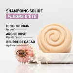 Shampoing solide