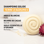 Shampoing solide