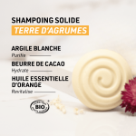 Shampoing solide